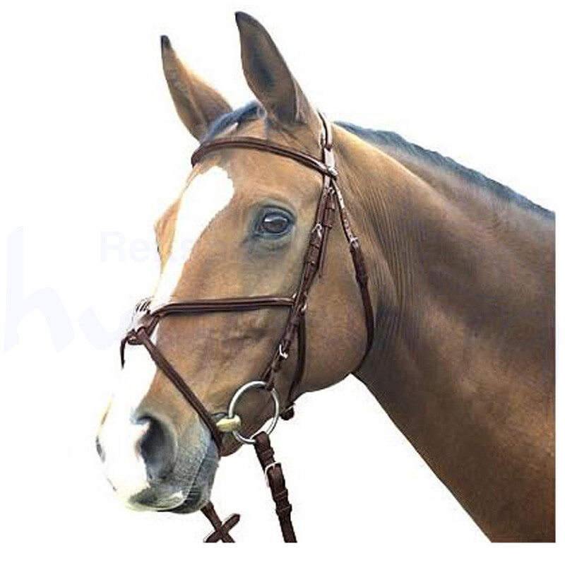 Euroriding Trensenzaum Oxford mexik. Reithalfter