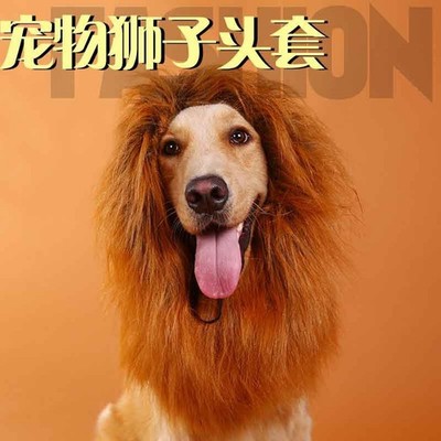 Source Manufacturer Pet Wig Wang Xingren Turns Into A Lion In Seconds Funny Lion