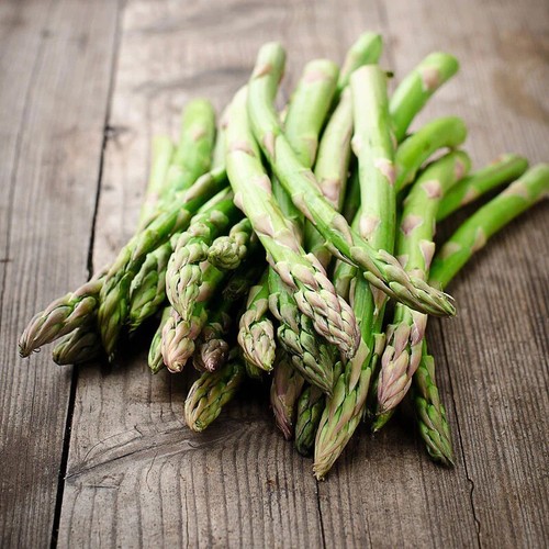 100++ ASPARAGUS Seeds- MARY WASHINGTON-NON - GMO, Heirloom  Seeds -USA FREE SHIP