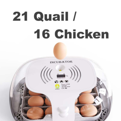 21  Quail / 16 Chicken Egg Incubator w Automatic Turner - LITTLE ROCK, AR SELLER