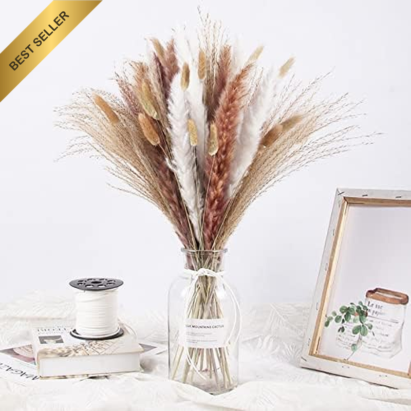 Tall Natural Dried Flowers Dry Pampas Grass Home Dining Table Decor (100Pcs Styl