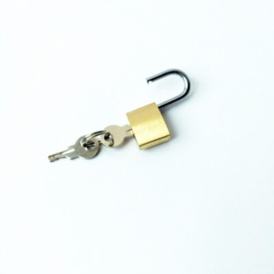 Female Chastity Belt Stainless Steel wear Strapon Belt Lockable Pants Binding