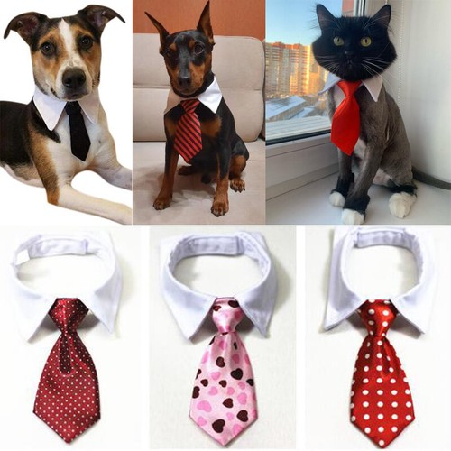 4x Verstellbare Haustier-Fliegen – Für Hunde & Katzen, Umfang 24–30 Cm, Smoking-Look Für Hochzeit & Party