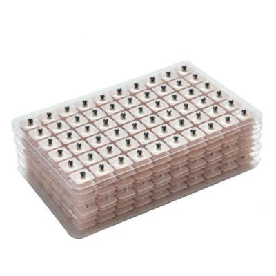 240 Pcs Ear Acupuncture Massage Therapy Needle Patch Auricular Sticker 