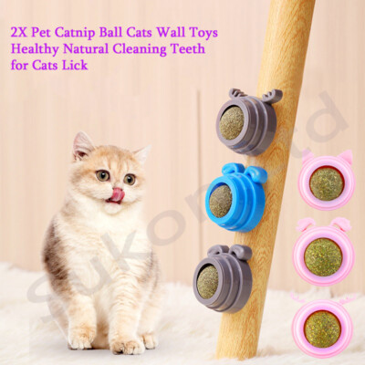 Cat Kitten 2 x Catnip Ball Cats Wall Toy Healthy Natural Cleaning Teeth Licking