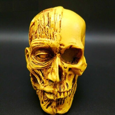 Skull Human Hybrid Silicone Mold DIY Resin Concrete Plaster Decoration Making