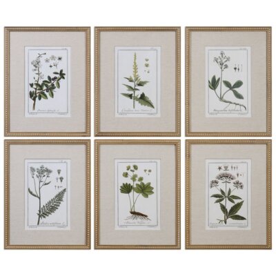 Uttermost Green Floral Botanical Study Pine Wood Prints - Multi-Color (Set of 6)