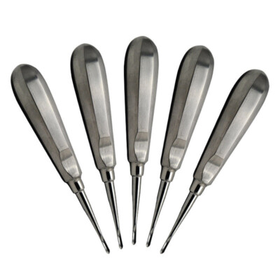 5x Dental Root Tip Elevator Luxating Extraction Stainless Steel Straight Luxator