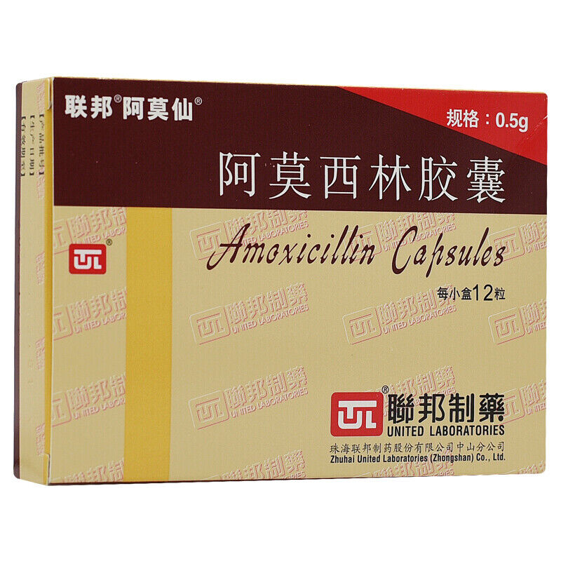 1box 阿仙 amoxia  阿莫西林胶囊 1box 0.5含量成人一次1粒一日两次