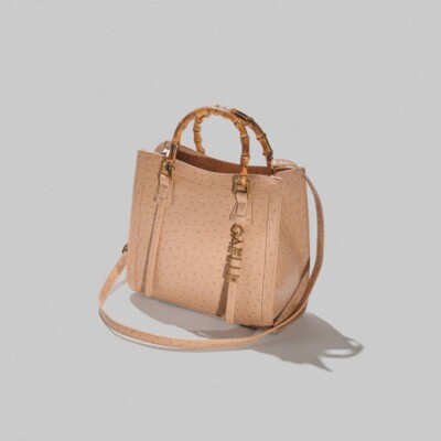 

Женская сумка GAELLE Paris GBADM4402 Карамельная сумка с ручкой Bamboo E2023