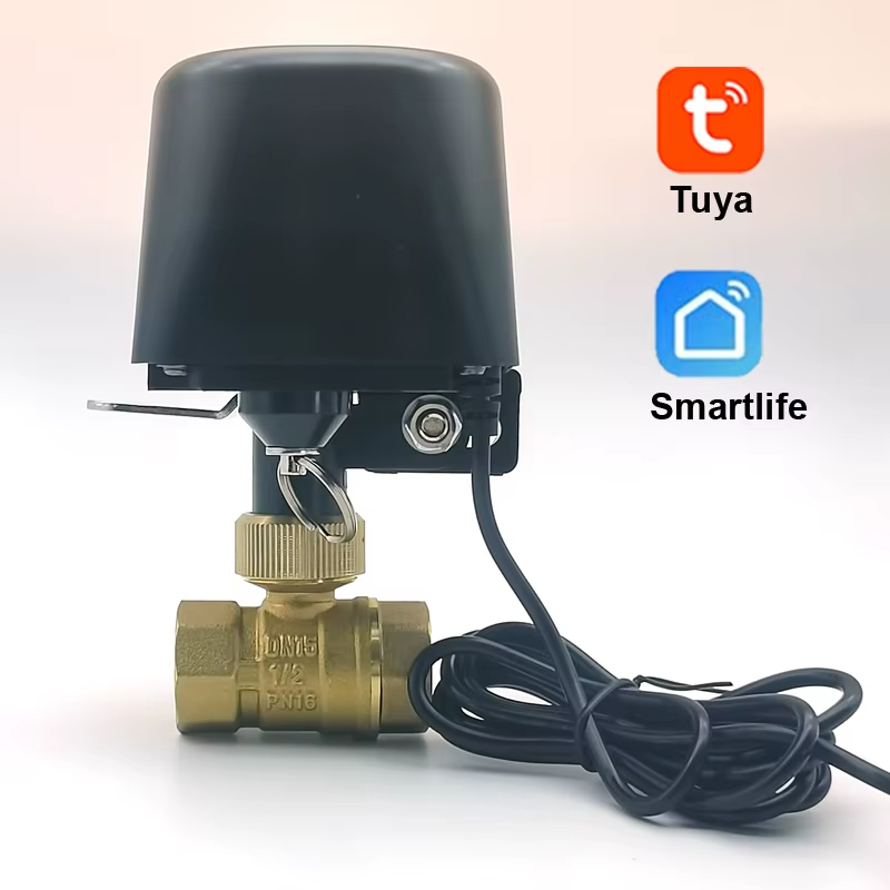 Zigbee WIFI Tuya Smart Water Vavle Stop Check Valve DN15 DN20 DN25 Wireless Auto