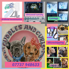 K9 Services, microchipping, ultrasound
