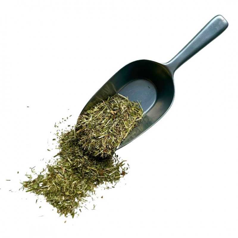 Tisane Euphraise 100 Grs (Casse Lunette) Plante Euphrasia Officinalis