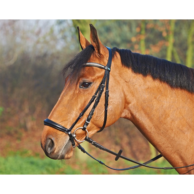 BUSSE Trensenzaum Hannover schwarz WB