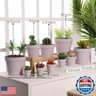 Yishang 1.9 Inch Tiny Pink Terracotta Pots Pack of 72-Small Mini White Clay Pots with Drainage Holes Flower Nursery Terra Cotta Planter for Tiny Cactus,Herb,Succulent Plants,Crafts