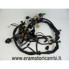 System Wiring Unit Electric Complete Suzuki Burgman 400 K4 2004 | eBay