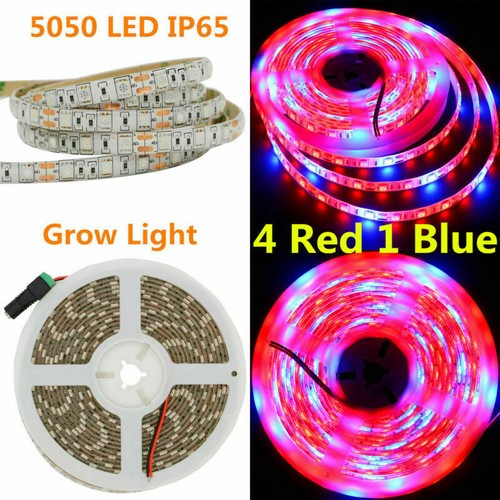 16FT Waterproof LED Strip Grow Light Full Spectrum Lamp for Indoor Plant Flower
