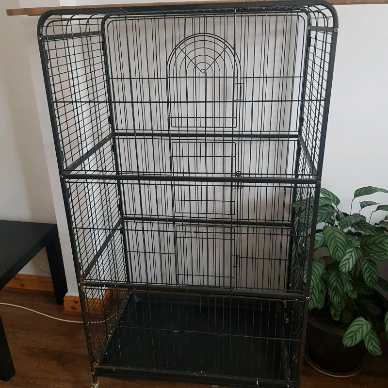 Large cage in Sparkhill, West Midlands Gumtree