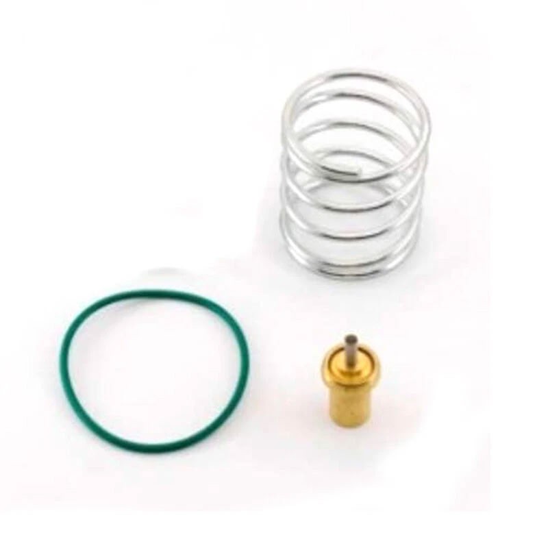 1Pcs Service Thermostatic Valve Kit 2205490593 for Atlas Copco Air Compressor
