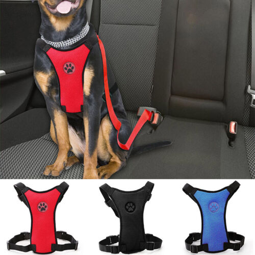 KFZ SICHERHEITSGURT Auto Sicherheitsgeschirr Hundegeschirr Hunde Anschnallgurt