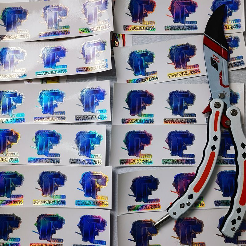CSGO holographic sticker Katowice 2014 Titan IBP Crown Gaming CS2 Counter Strike