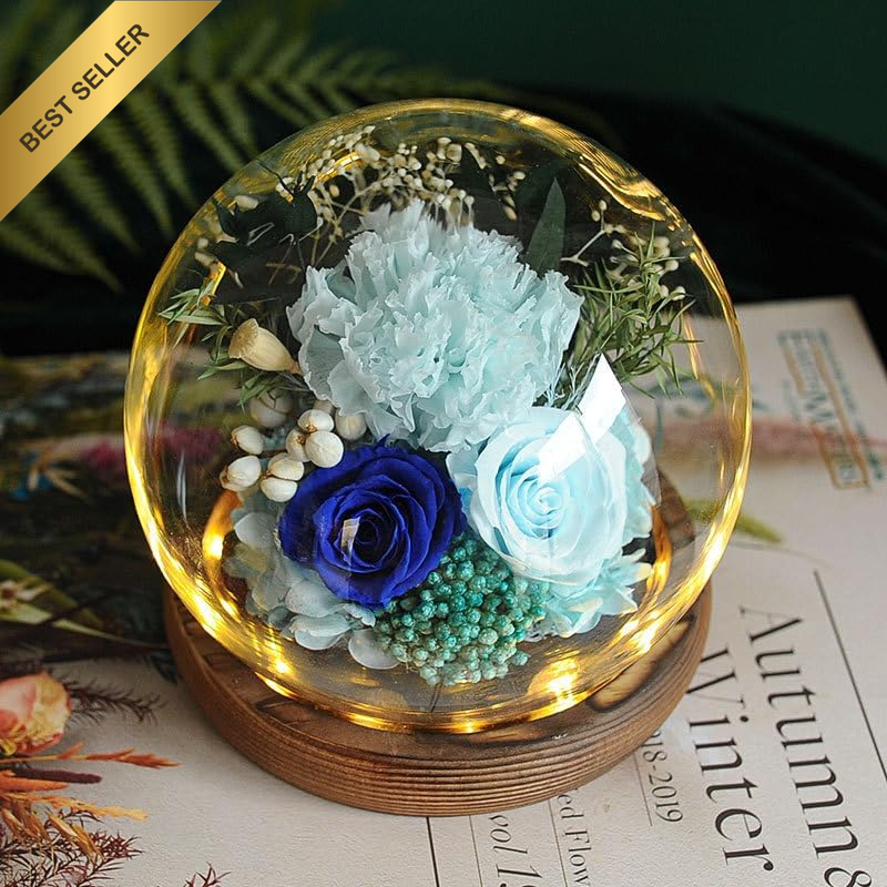 Rose in Glass Dome, Long-Lasting Real Flowers, with LED Light, Unique for Mother