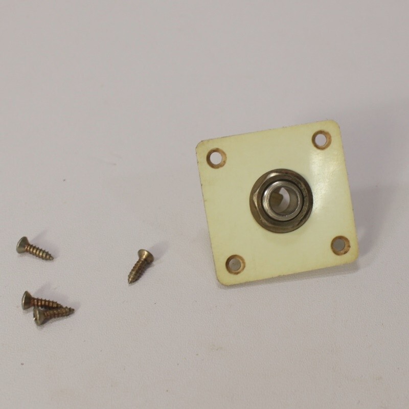 Aged 59 Les Paul Jack Plate with Switchcraft Jack and Screws - Bone White