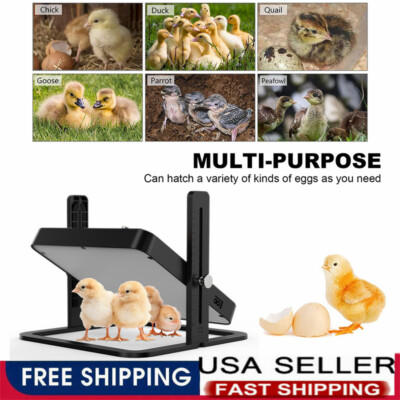 21W Chick Brooder Heating Plate Chicken Coop Heater For Chicks Or Ducklings Warm