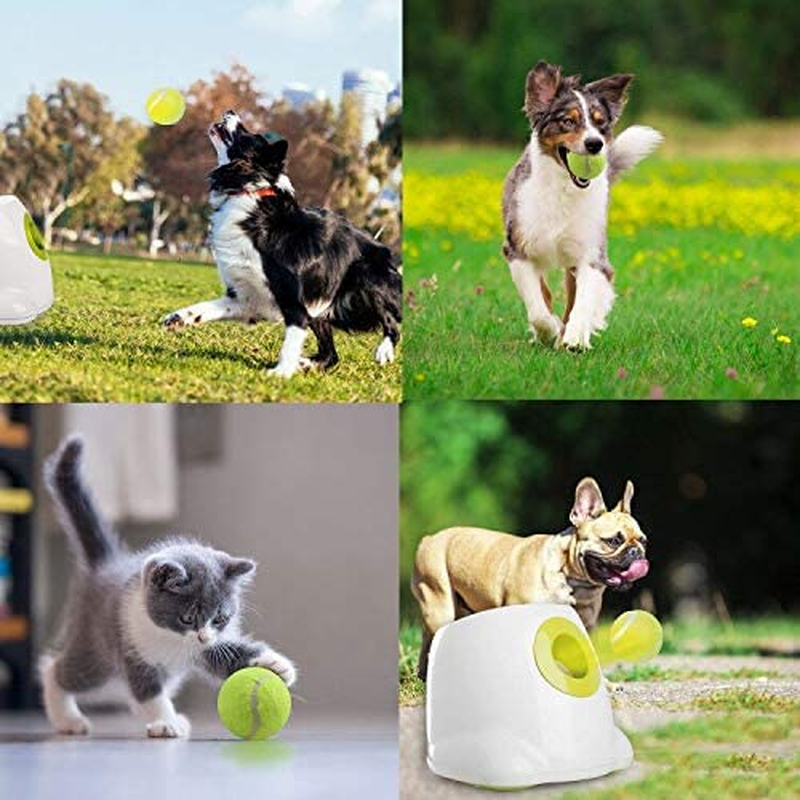 Dog Automatic Ball Launcher Dog Interactive Toy Dog Fetch Toy Pet Ball Thrower T