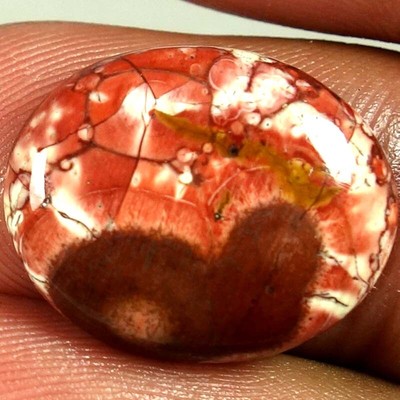 11.10Cts 100% Natural Designer Brid Eye Oval Shape Cab Loose Gemstone 16x20x05mm