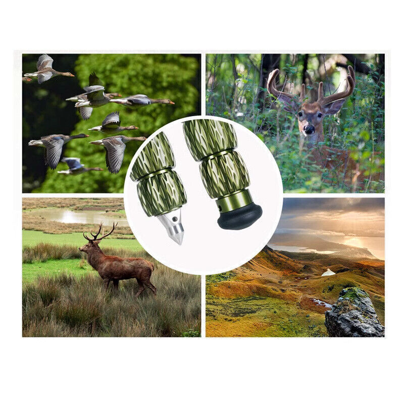 Open Sirui CT-3204 Carbon Fiber Tripod w CH-20 Gimbal Head  for Nikon Sony Canon