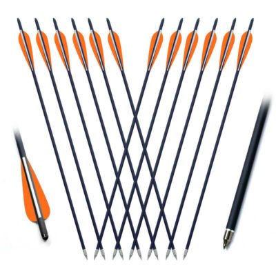 US 20 Inch Hunting Crossbow Bolts Mix Carbon Arrows 12PCS Archery Crossbow NEW