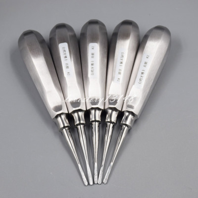 5Pcs Dental Orthodontic Root Elevator Loosen Tip Stainless Steel Luxating Apical