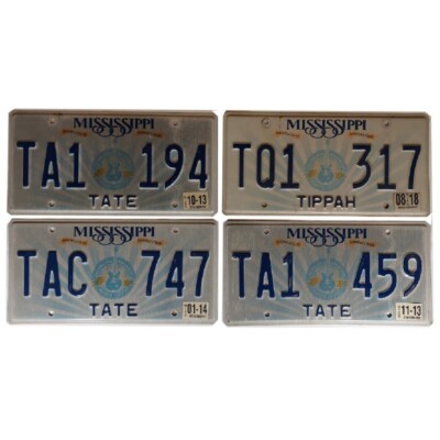 MISSISSIPPI (V2) : Plaque immatriculation US  30x15cm plate relief