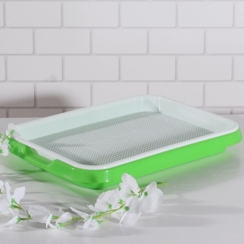 Nursery Sprouter Stackable Sprouting Trays Germination Kitchen Crop