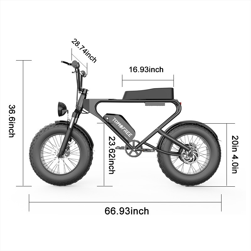 Electric Bike Bicycle Aldult Fat Tire E-bike 1200W 48V 20Ah 30mph Tomofree DK200