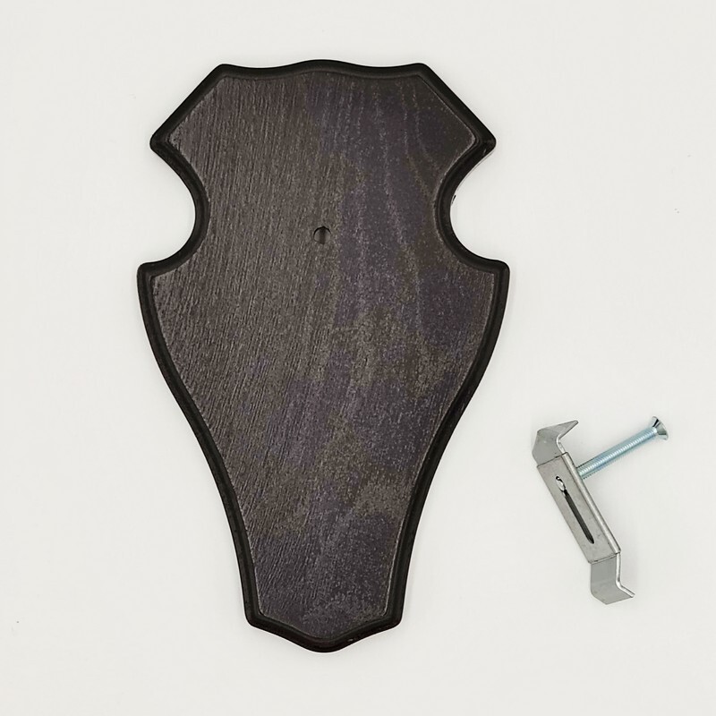 Targa Per Trofeo In Rovere Scuro - 19x11 Cm, Per Corna Di Cervo, Con Dati Adesivi - Foto 3