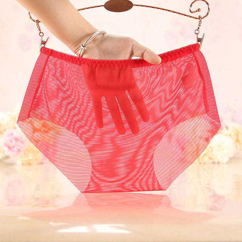 Women's See Through Briefs Panties Lingerie Sexy Mesh Sheer Underwear