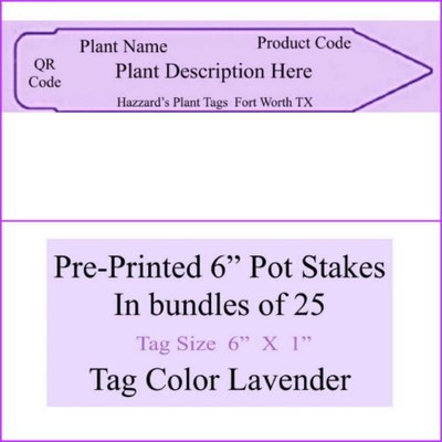 Aster Wartburg Star - Printed Tags  { Pk of 25  }