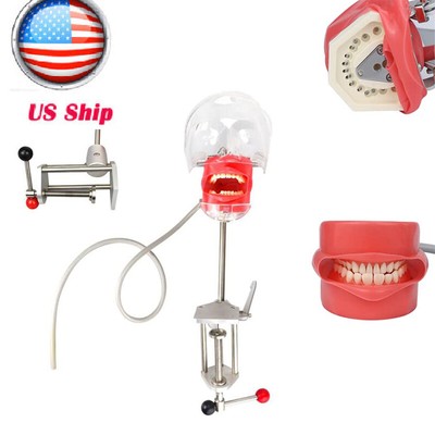 US Dental Simulator Simple Head Model Manikin Phantom Dentist Teaching Practice