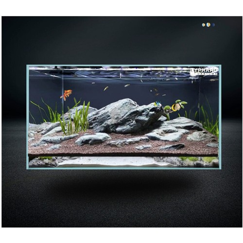 LYPHARD AQUARIUMS 50Gallon Aquarium FishTank Ultra Clear Rimless Low Iron