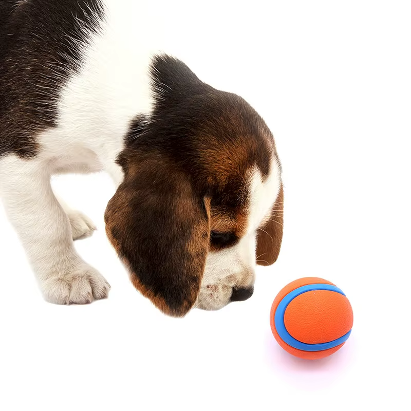 6cm Tough Rubber Dog Chew Ball Puppy Fetch Toy Elastic Interactive Pet Ball