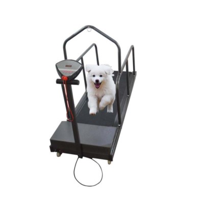 Brand New Pet Treadmill Loading 220lbs for Dog&Cat etc. Indoor Exercise 033002