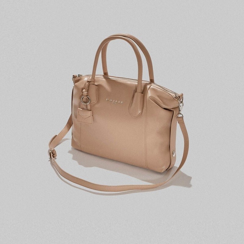 Сумка Bauletto Woman Gaelle Paris GBADP3618 Turtle Dove Color Bag