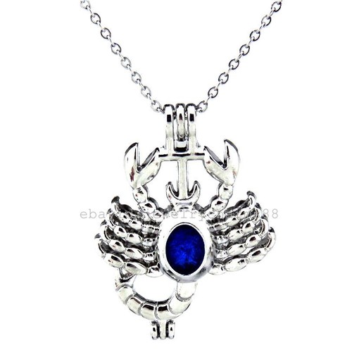 K182 Silver Bead Cage Scorpio Zodiac Locket Necklace Horoscope Stainless Chain