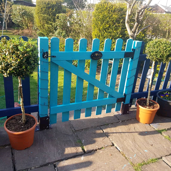 Lollipop Tree for sale in UK 67 used Lollipop Trees