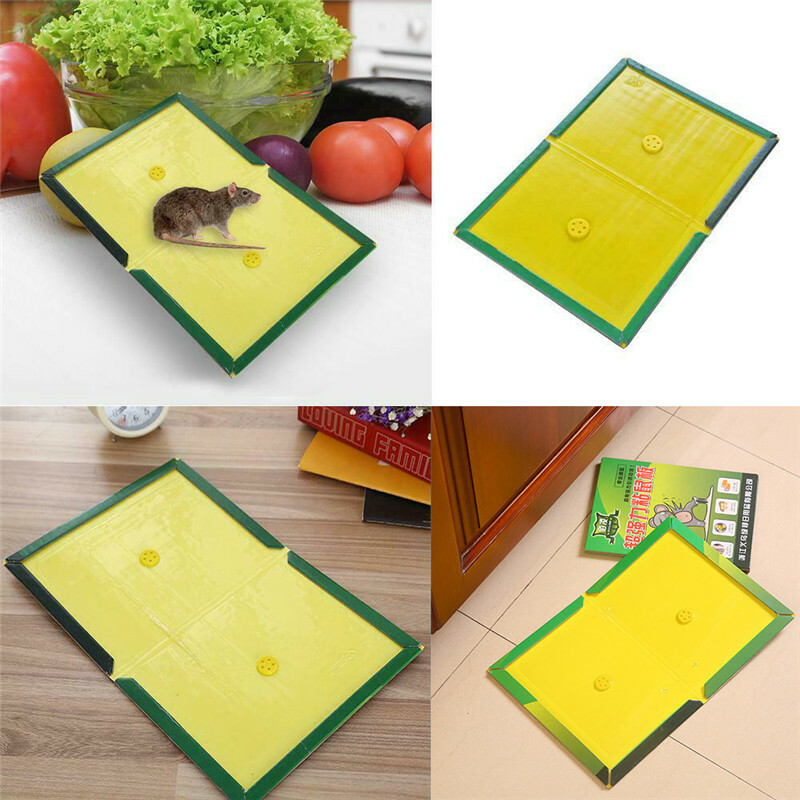 Mäusekleber deutschland