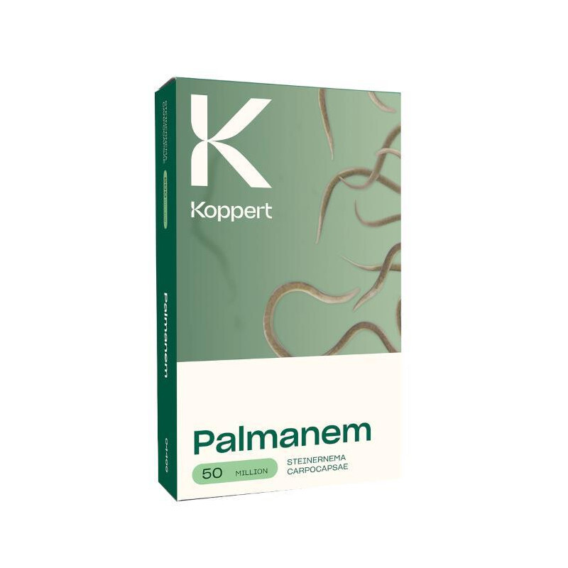 Palmanem Koppert - 50 Millions - Steinernema Carpocapsae