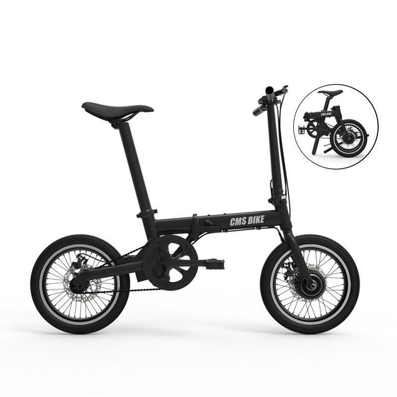 ebay electric bike