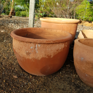 Large terracotta pot | Pots & Garden Beds | Gumtree Australia Armadale